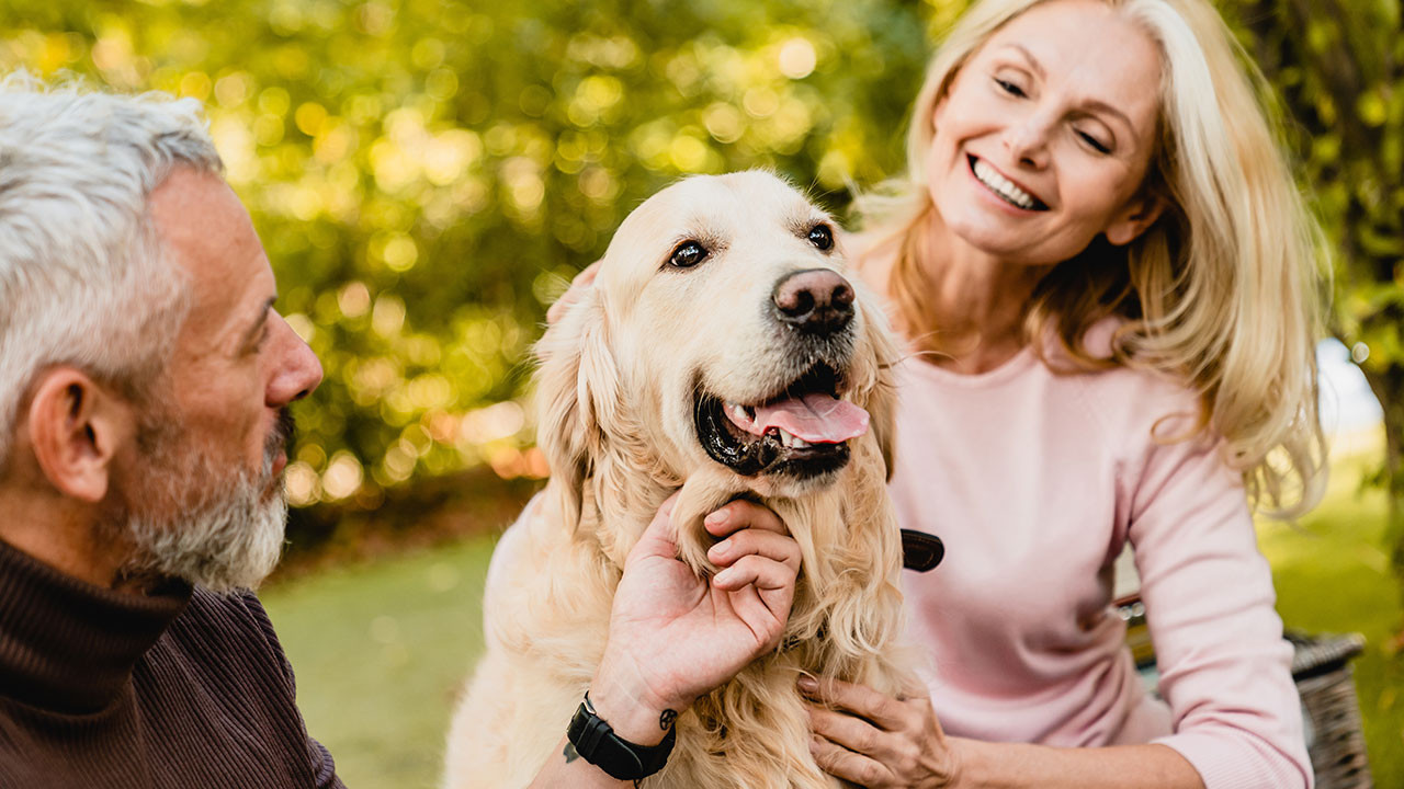 senior couple with their dog
